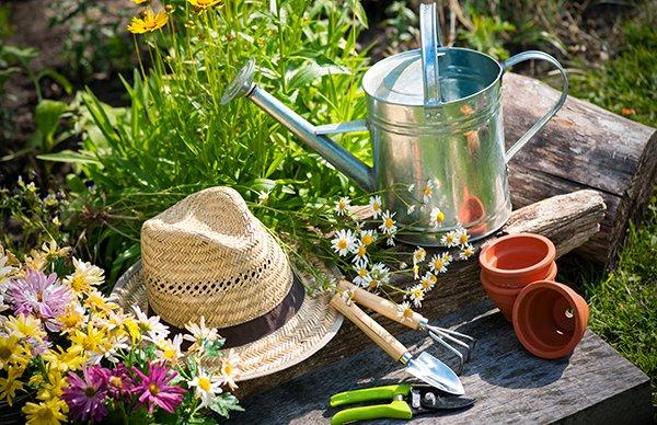 Transform Your Yard: Essential Care Guide