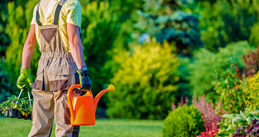 Expert Tips for a Flourishing Garden