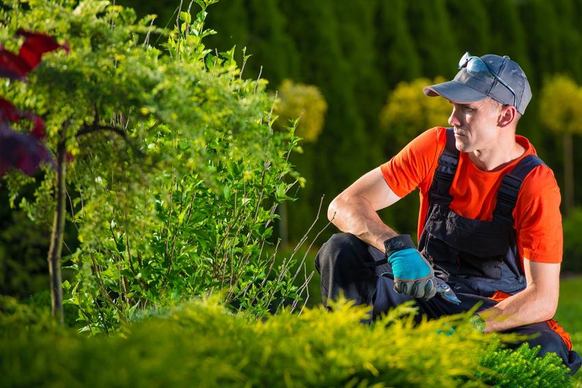 Elevate Your Outdoor Space with Expert Garden Care